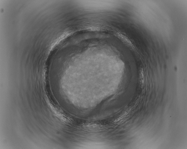 X0000087060730200705091200