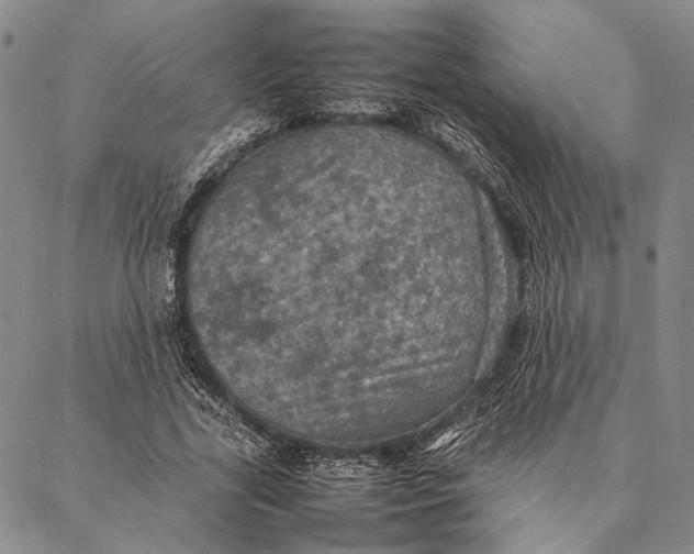 X0000087060731200705091200