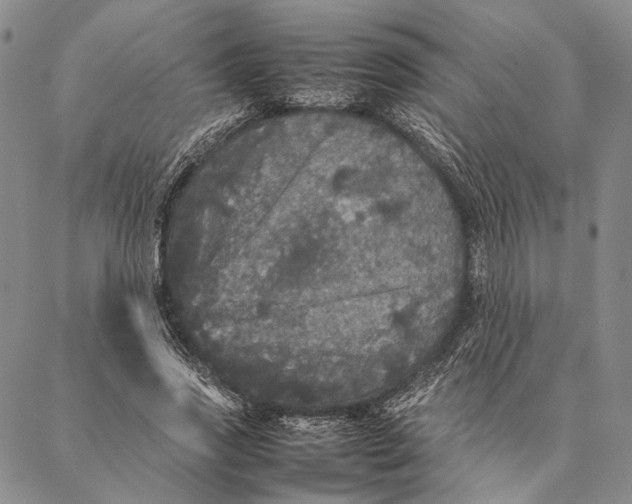 X0000087060733200705091200