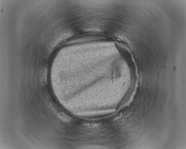 X0000087060735200705091200