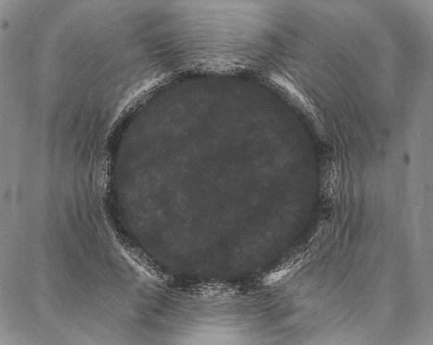 X0000087060736200705091200