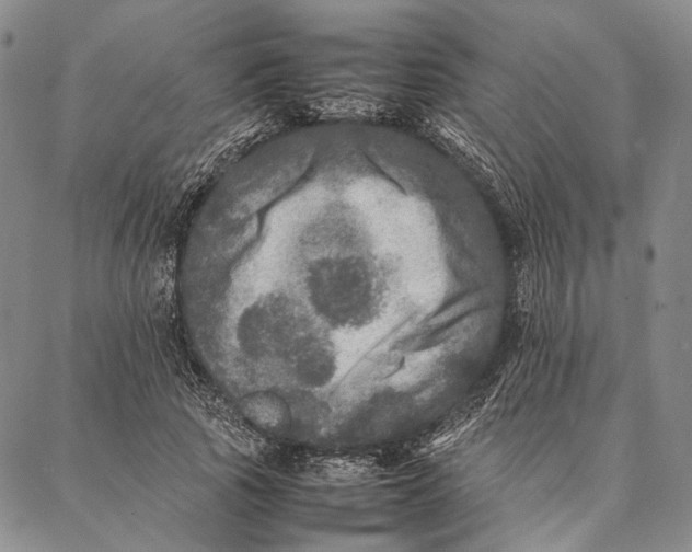 X0000087060737200705091200