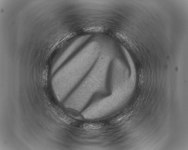 X0000087060739200705091200