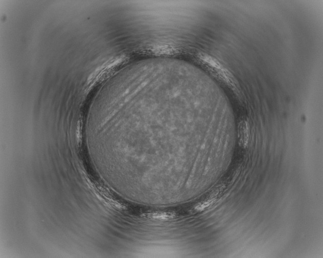 X0000087060740200705091200