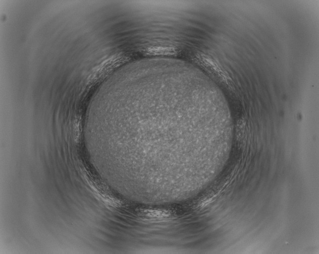 X0000087060741200705091200