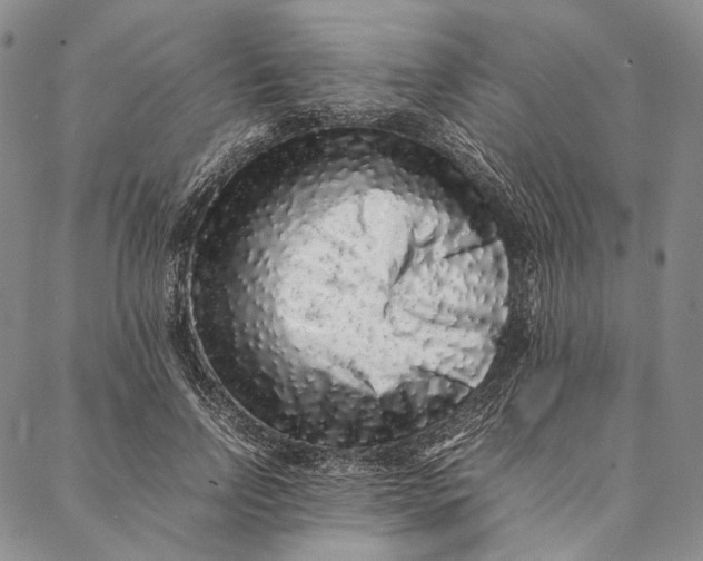 X0000087060742200705091200