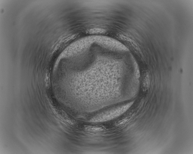 X0000087060743200705091200