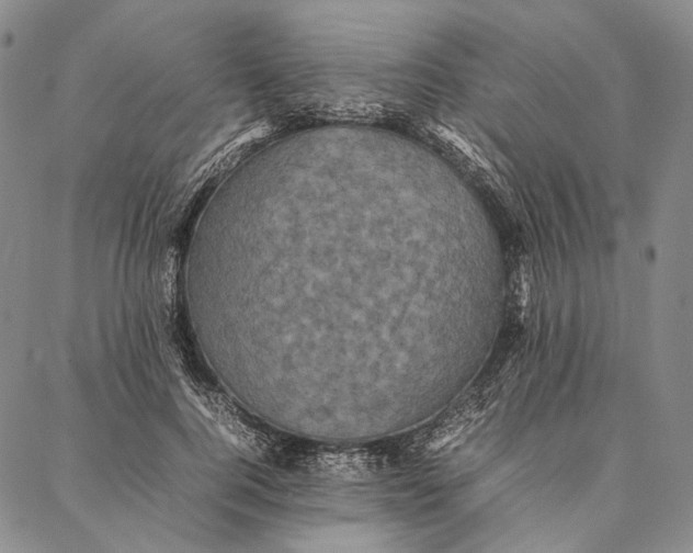 X0000087060744200705091200