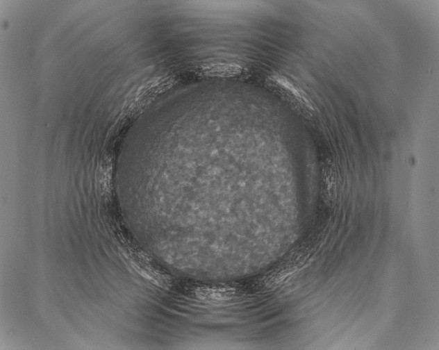 X0000087060745200705091200