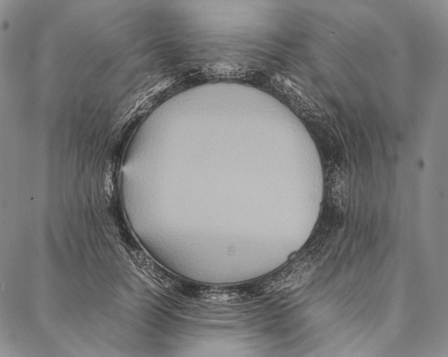 X0000087060746200705091200