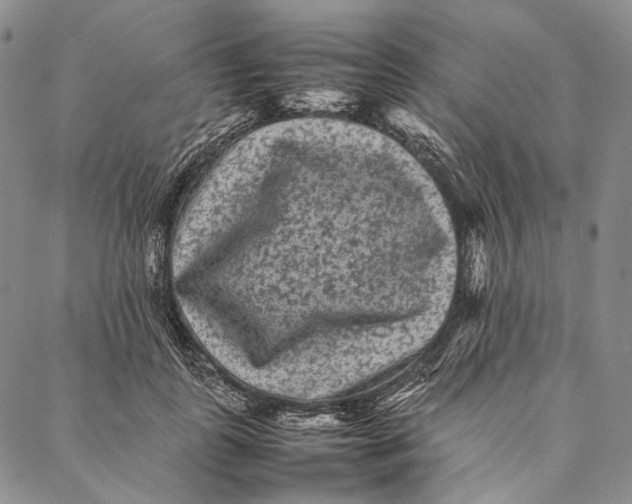 X0000087060747200705091200