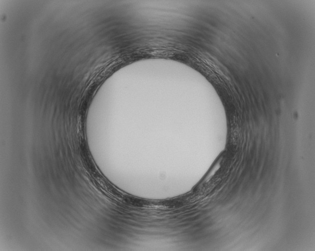 X0000087060748200705091200