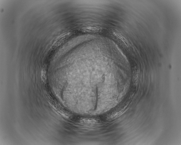 X0000087060749200705091200