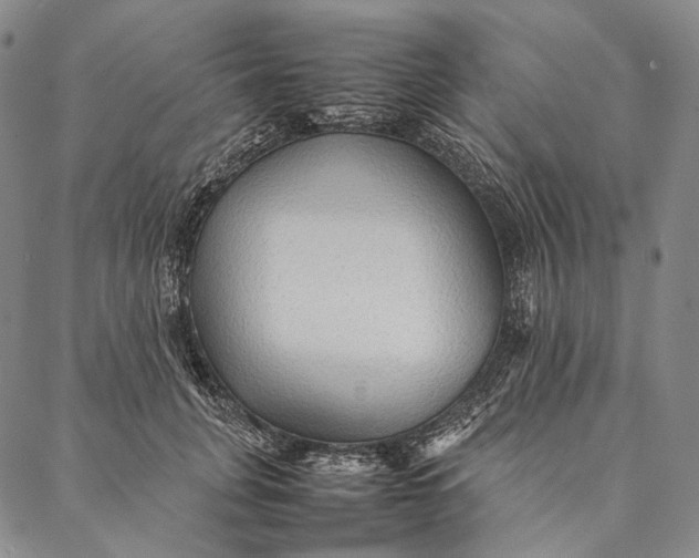 X0000087060751200705091200