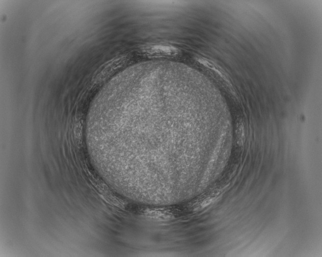 X0000087060753200705091200