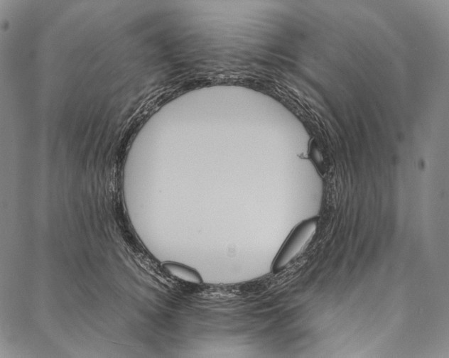 X0000087060756200705091200