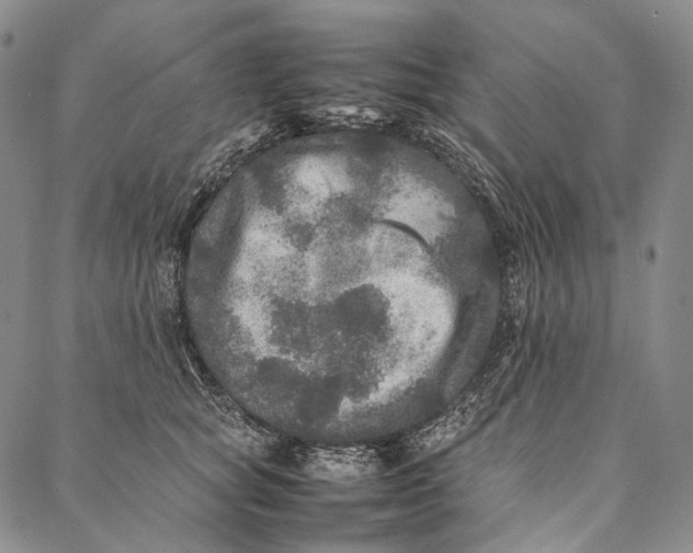 X0000087060757200705091200