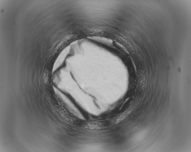 X0000087060758200705091200