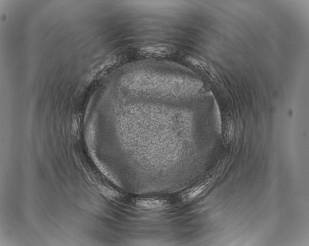 X0000087060759200705091200