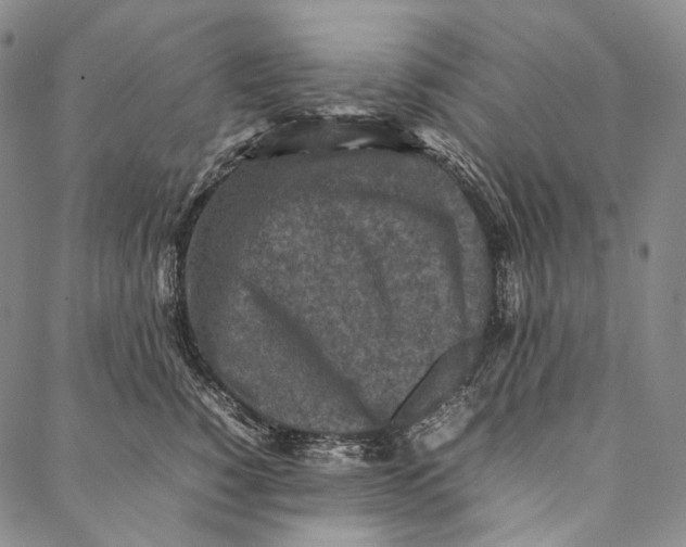 X0000087060760200705091200