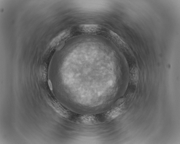 X0000087060762200705091200