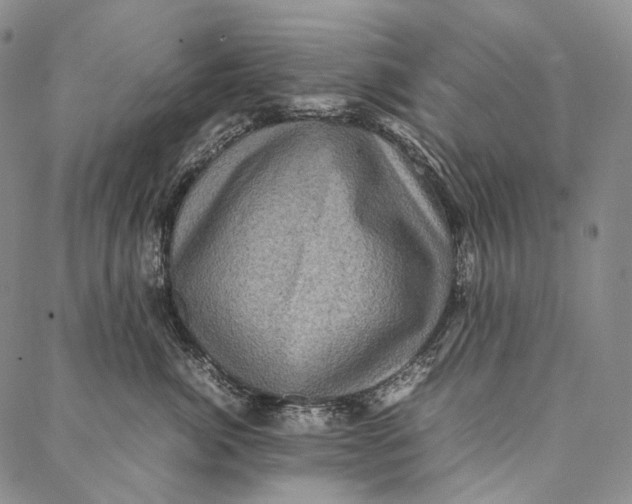 X0000087060764200705091200