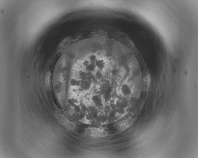 X0000087060765200705091200