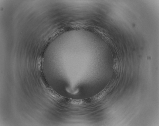 X0000087060767200705091200