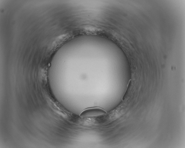 X0000087060768200705091200