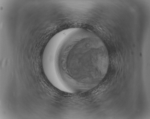 X0000087060769200705091200