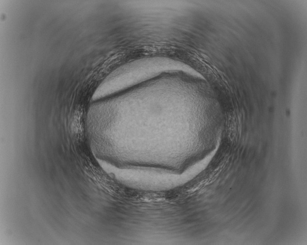 X0000087060770200705091200