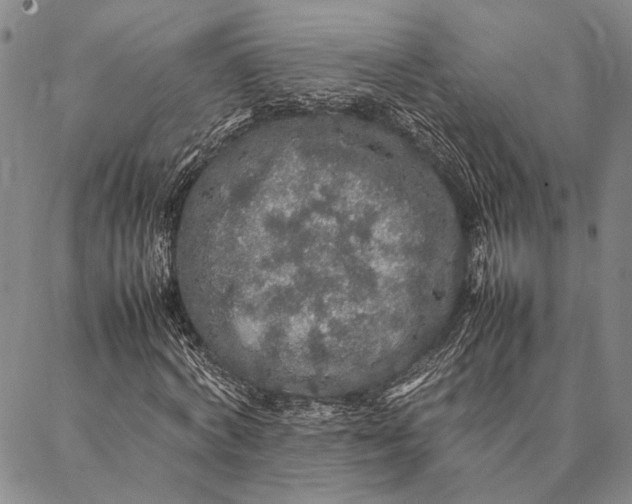 X0000087060772200705091159