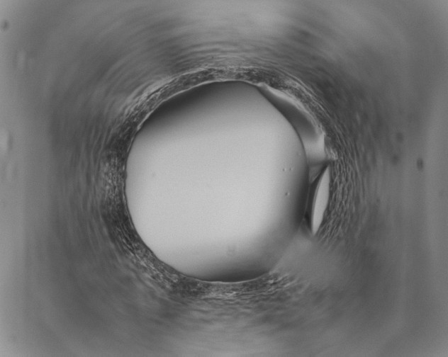 X0000087060773200705091159