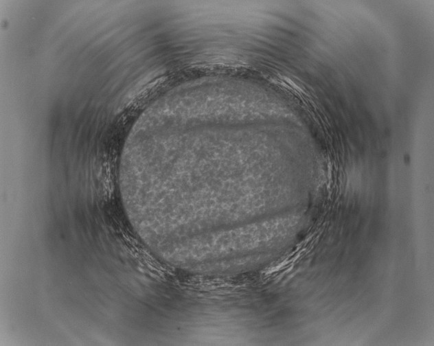 X0000087060774200705091159