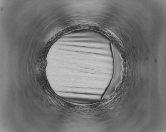 X0000087060775200705091159