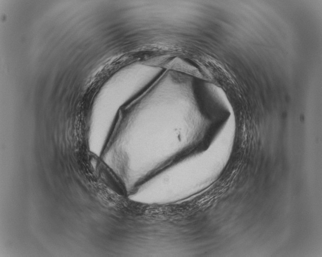 X0000087060776200705091159