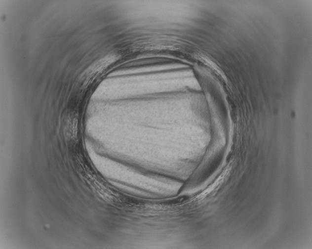 X0000087060777200705091159