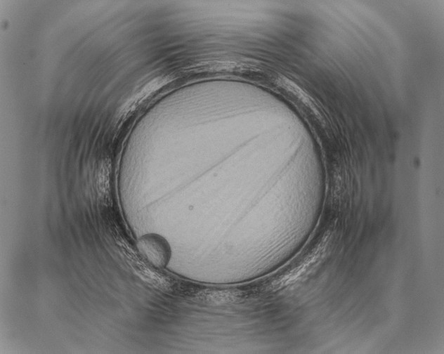 X0000087060778200705091159