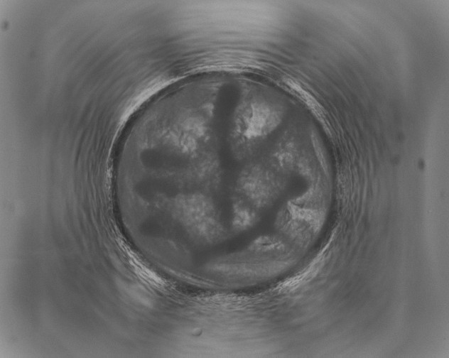 X0000087060779200705091159