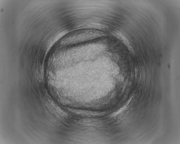 X0000087060780200705091159