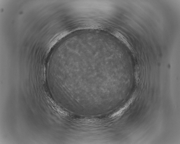 X0000087060781200705091159