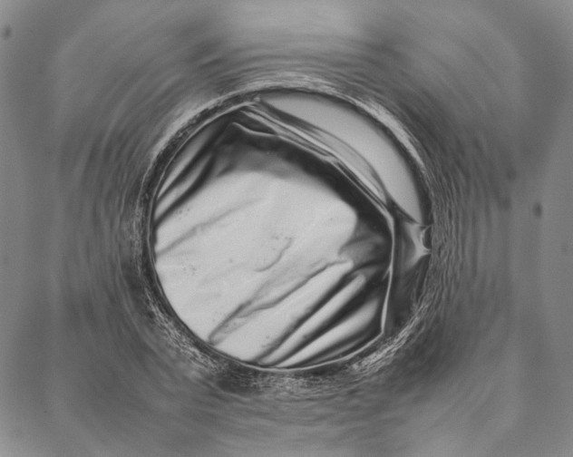 X0000087060783200705091159