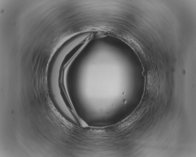 X0000087060784200705091159