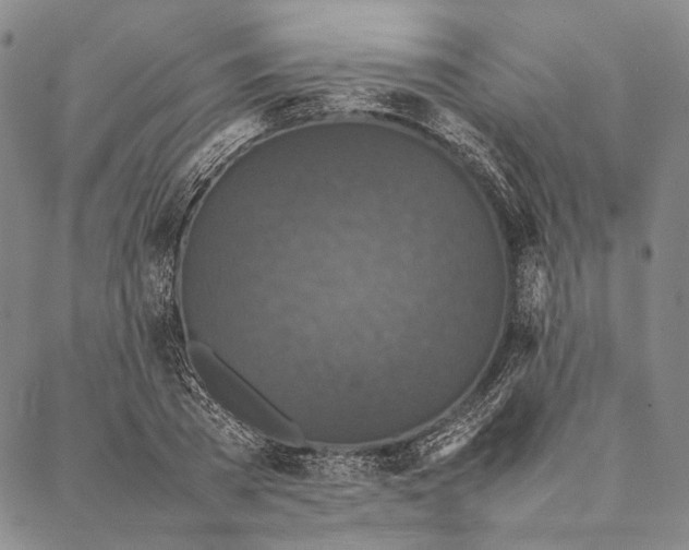 X0000087060785200705091159