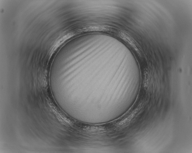 X0000087060786200705091159