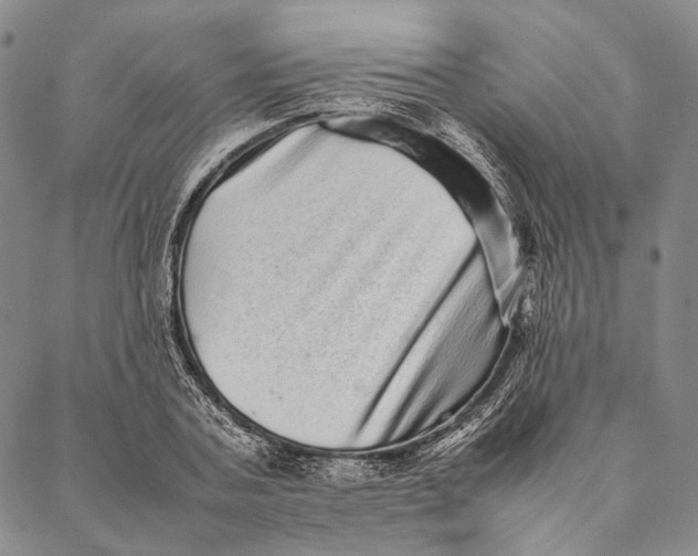 X0000087060787200705091159