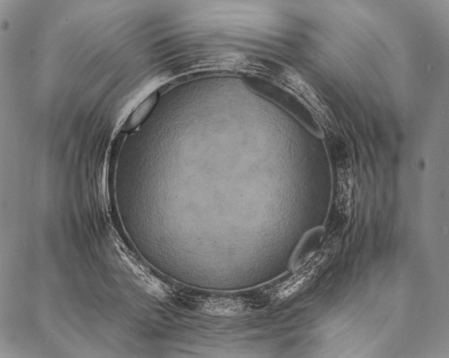 X0000087060788200705091159