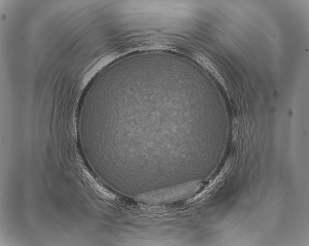 X0000087060789200705091159