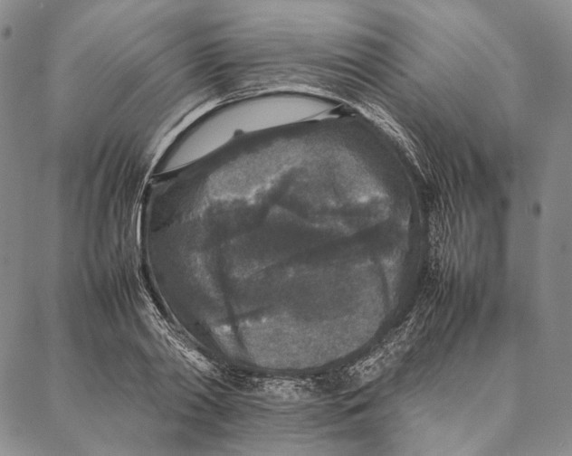 X0000087060790200705091159