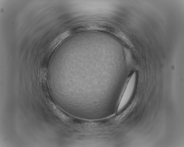 X0000087060793200705091159